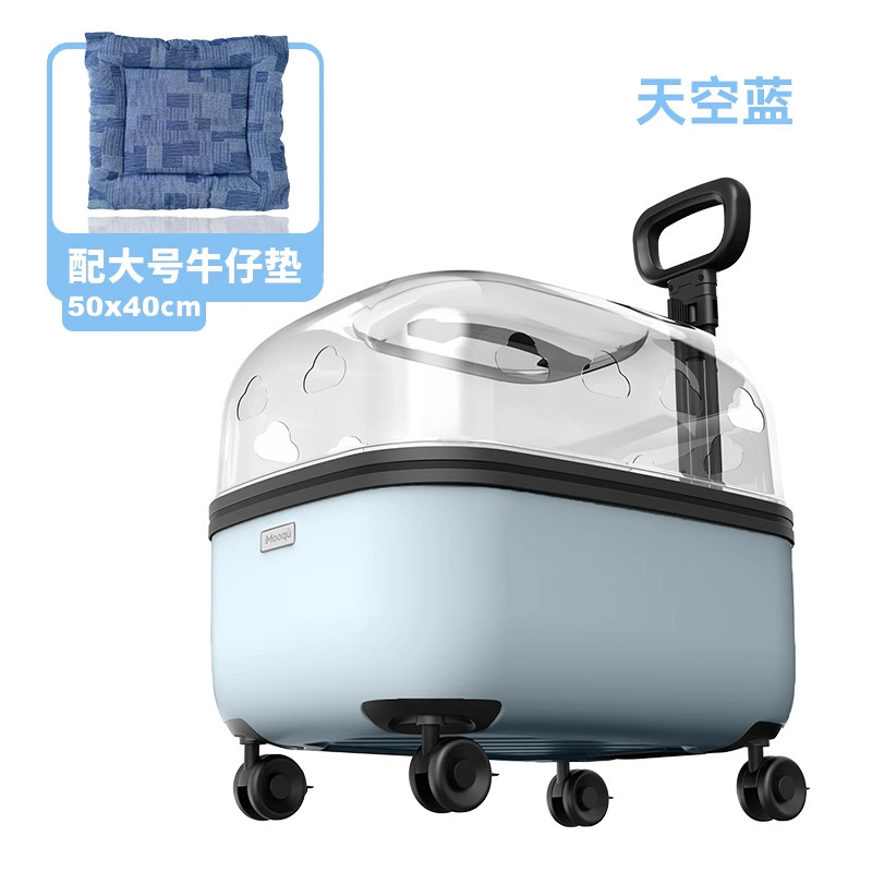 Sky Blue (Transparent) Large Soft Cushion