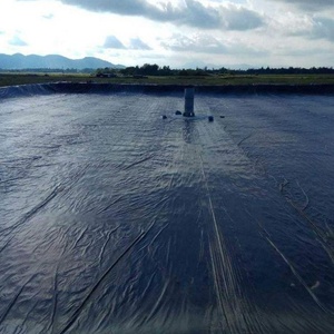 Özelleştirilmiş farklı tip HDPE PVC geomembran su yalıtım gölet astar baraj astar geotekstil membran - Product Image 6