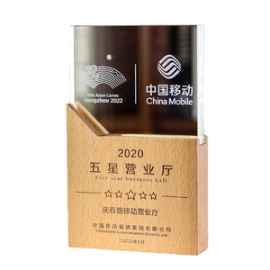 拥有独特水晶奖杯的流行模特刻有奖牌实木优秀员工年度纪念奖杯 - Product Image 1