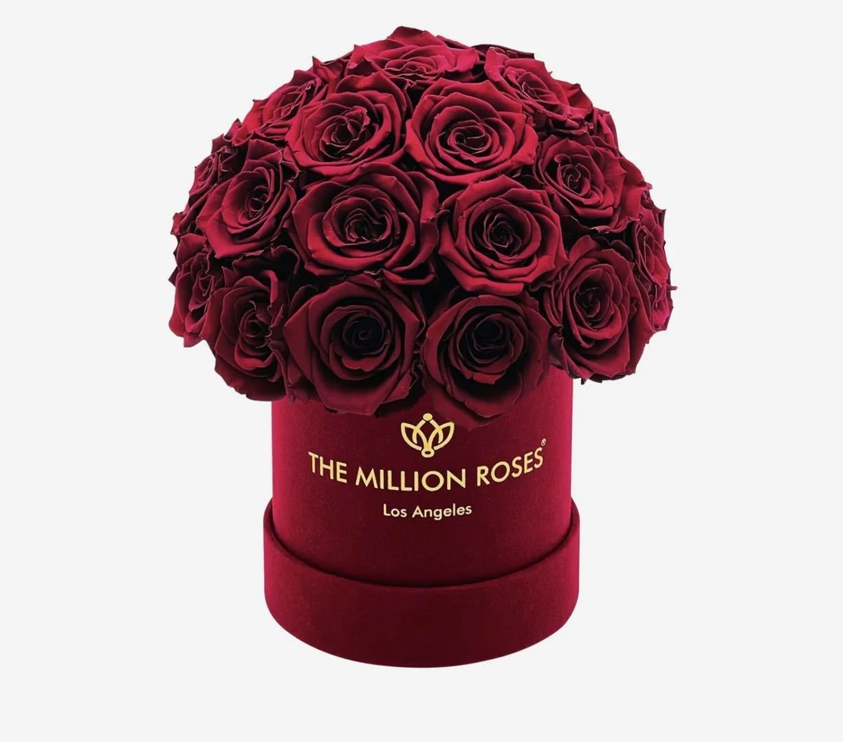 red 25 roses velvet mushroom dome