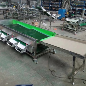 <strong>Automation</strong> Sort by Size Fruit Blueberry Grading <strong>Machine</strong> Fruit <strong>Sorting</strong> <strong>Machine</strong> - Product Image 2