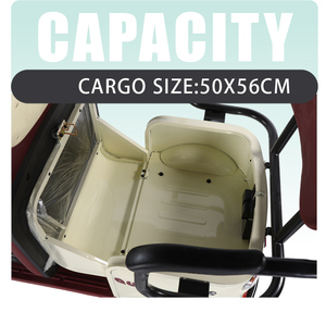 Cơ Bản 48V 800W Điện Xích Lô Trike 3-Bánh Xe Khung Thép Mở Kính Chắn Gió Mưa Bìa Phía Sau Trung Tâm Động Cơ - Product Image 6