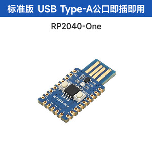 RP2040- Development Board Type-A version 4MB Flash <strong>Raspberry</strong> <strong>PI</strong> Microcontroller Development Board - Product Image 5