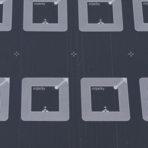 A4 2*5 Format 10 Chips Per Sheet 13.56MHz HF EV1 Wet <strong>Inlay</strong> with Stickers - Product Image 2