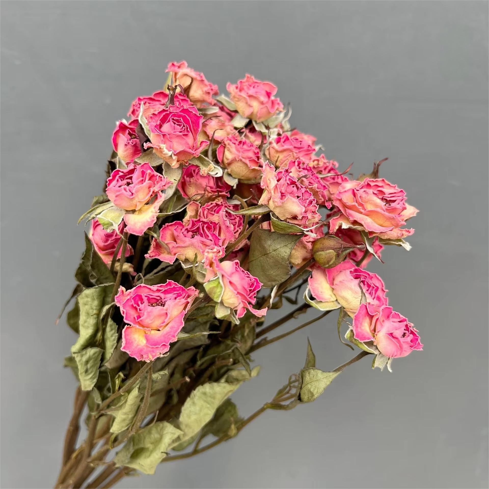 Princesse sirène 1 paquet 10 pièces