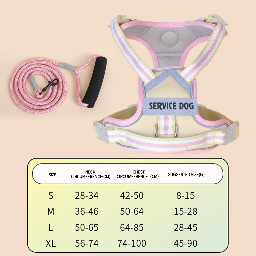 สายรัดสีเหลือง + สายจูง