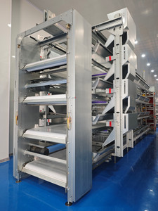 H-loại lớp gà lồng cho 1000 chim với hệ thống tự động cho thương mại chăn nuôi gia cầm mật độ cao giải pháp - Product Image 5