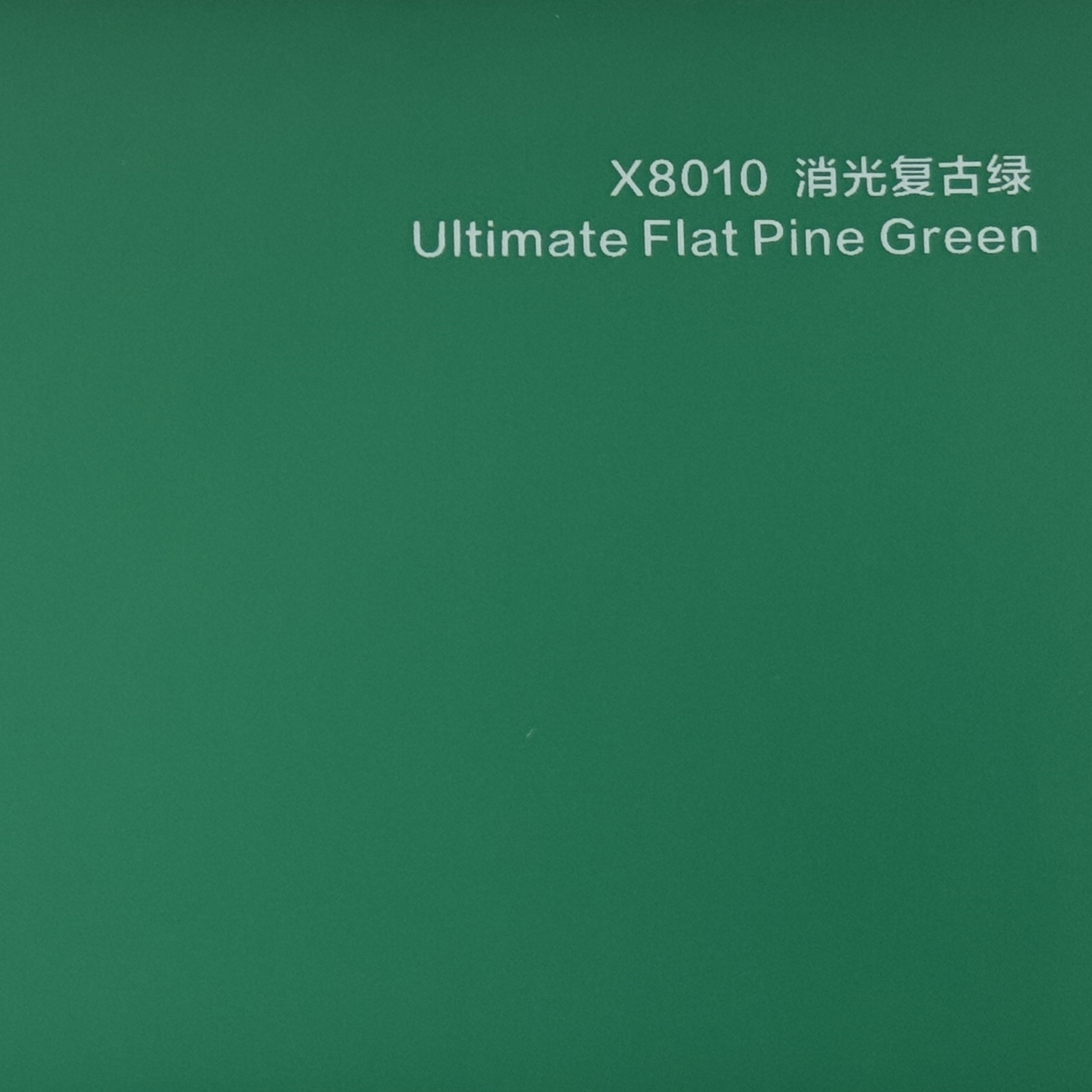 Vert pin plat ultime