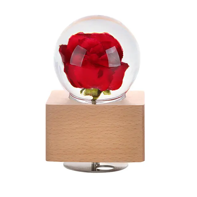 Echte Löwenzahn Rose Nelke Blume Harz Ball Spieluhr Nachtlicht Valentinstag Geschenk konserviert echte Blume Geschenk für Freundin