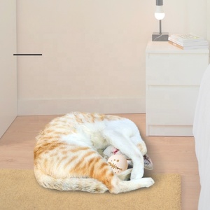 Nueva llegada gato juguete combinación hierba gatera brillo campana bola gato auto alta bola resistente a arañazos y mordeduras gato bola - Product Image 2