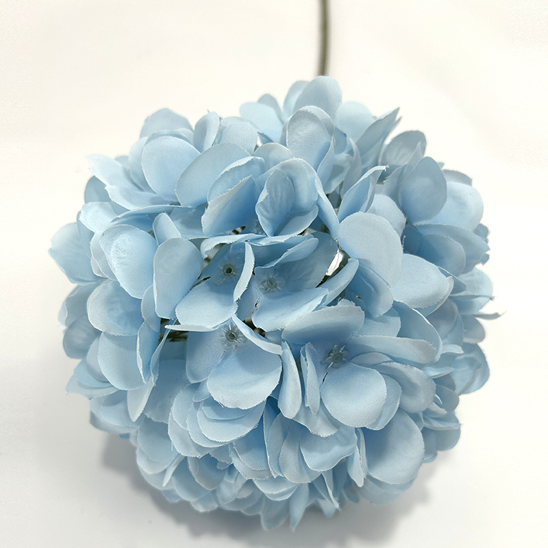 Bleu clair