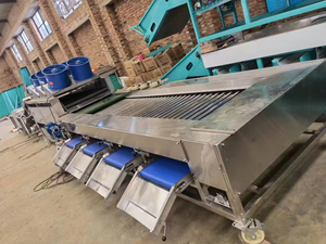 Lemon Mango Size <strong>Classifier</strong> Machine Fruit Weight Grader Citrus Sorting Grading Machine - Product Image 3