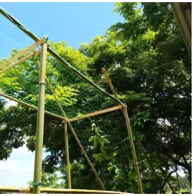 Rete di protezione da giardino a traliccio per verdure in plastica PP per supporto e crescita servizio di lavorazione del taglio personalizzato - Product Image 3