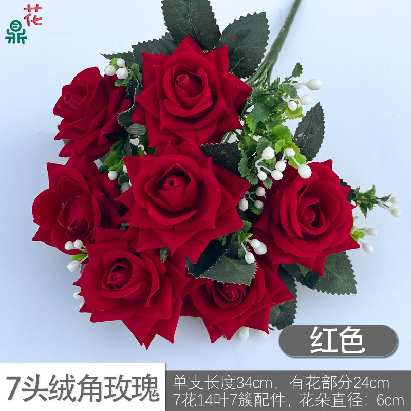 7 หัว กำมะหยี่มุมกุหลาบ DG สีแดง