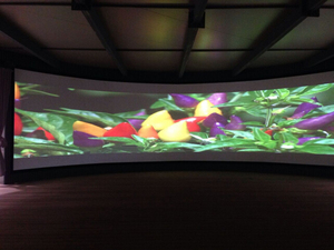 200 Inch Customized <strong>Fixed</strong> Curved <strong>Frame</strong> Projector <strong>Screen</strong>/Cinema <strong>Frame</strong> <strong>Screen</strong>/High Quality <strong>Projection</strong> <strong>Screen</strong> - Product Image 4