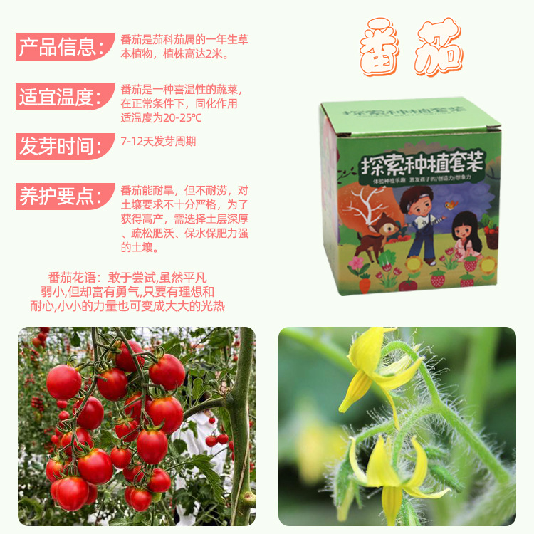 Kit de plantation de tomates