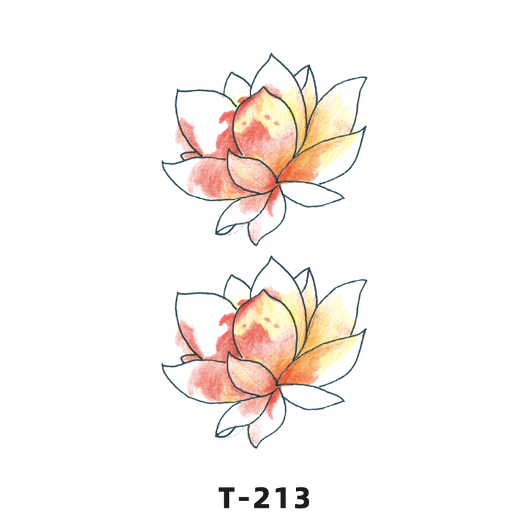 T-213
