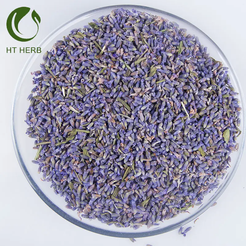 2021 Low Price New Arrival 100% pure natural Herb Lavender tea bags Flavor Dried Tea Purple Lavender Buds