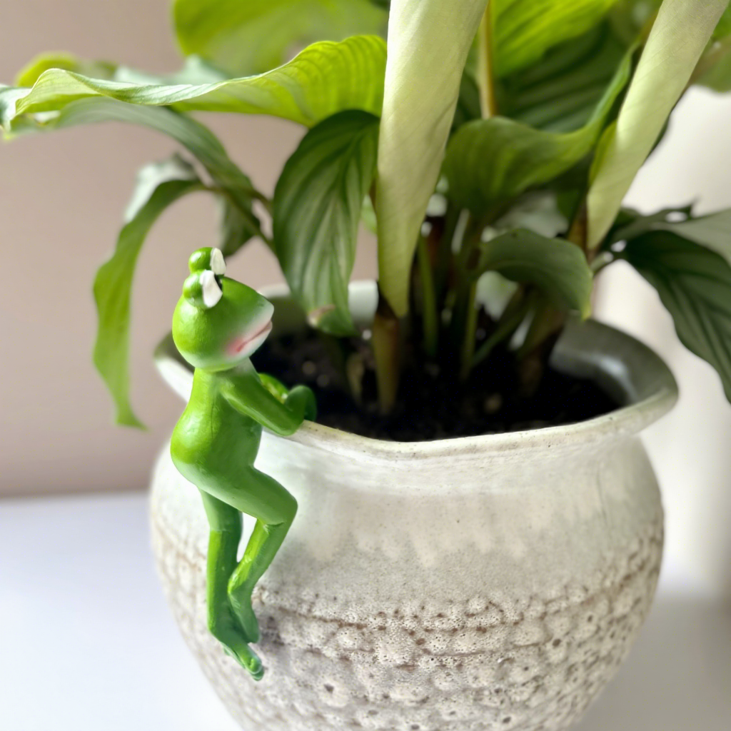 Left-hanging frog