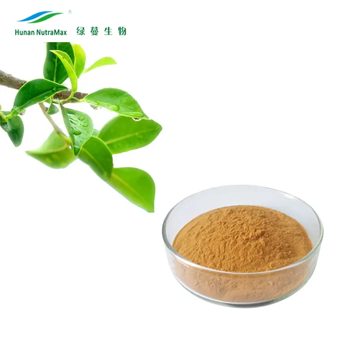 98% Green Tea Extract EGCG Powder with Free Samples