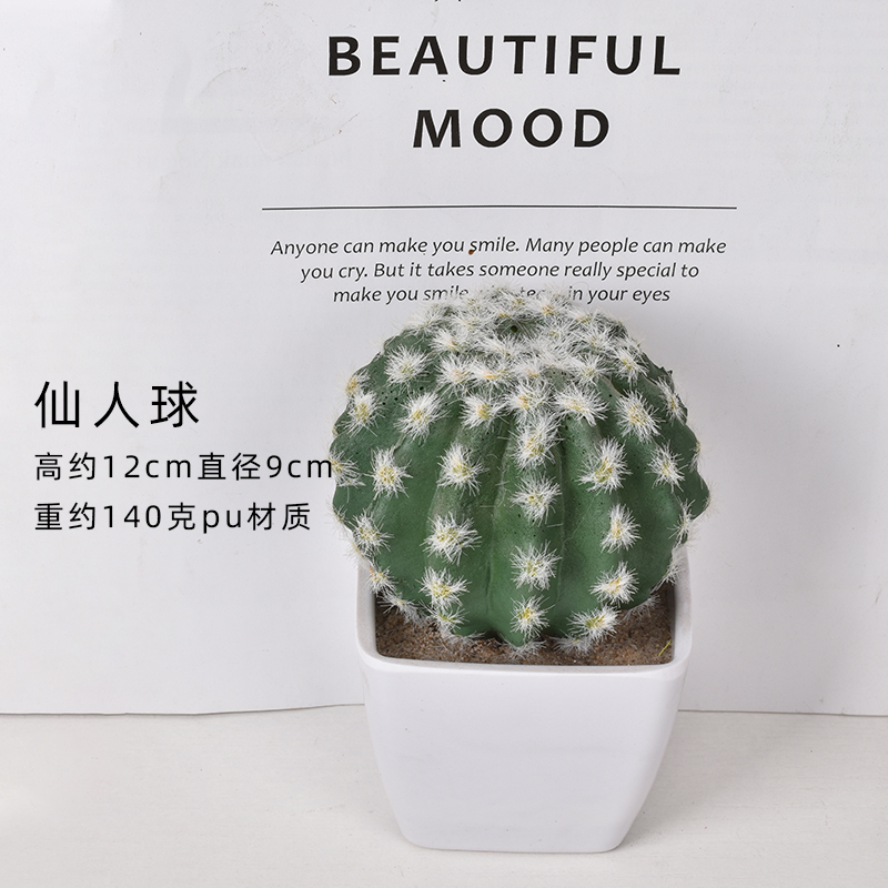 Cactus