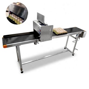 Automatische Chargen produktion Eierspray-Codier maschine Gesamtes Fach Digitaler Logo-Druck Effiziente Verwendung eines schnellen Etiketten druckers - Product Image 4