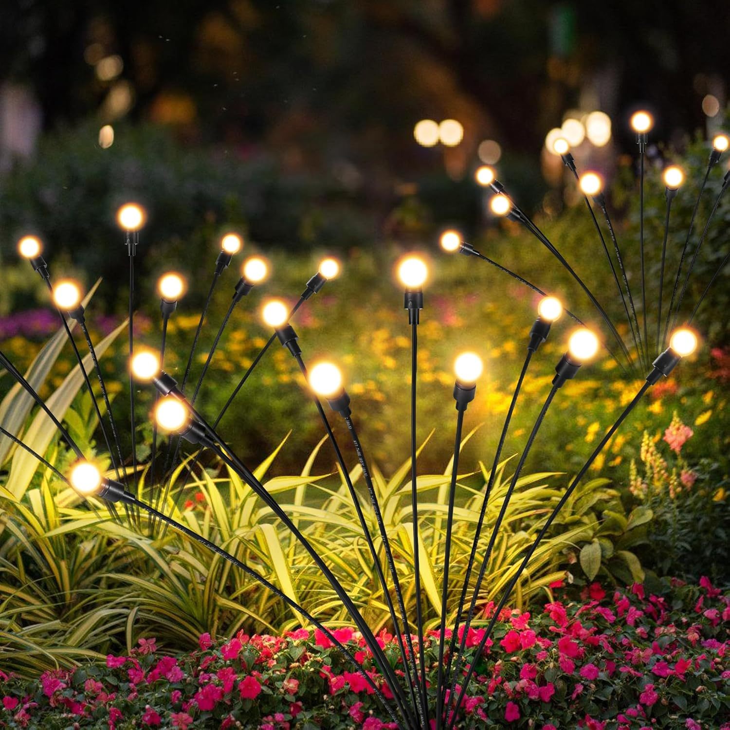 8 luces