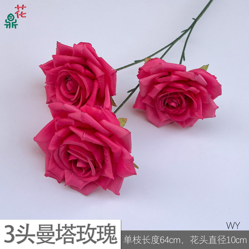 มันตาโรส WY 3 หัว, สีแดงกุหลาบ