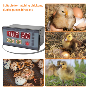 Digital <strong>Automatic</strong> Small Egg Incubator Thermostat <strong>Controller</strong> for Humidity and <strong>Temperature</strong> Controlling XM-18 - Product Image 5