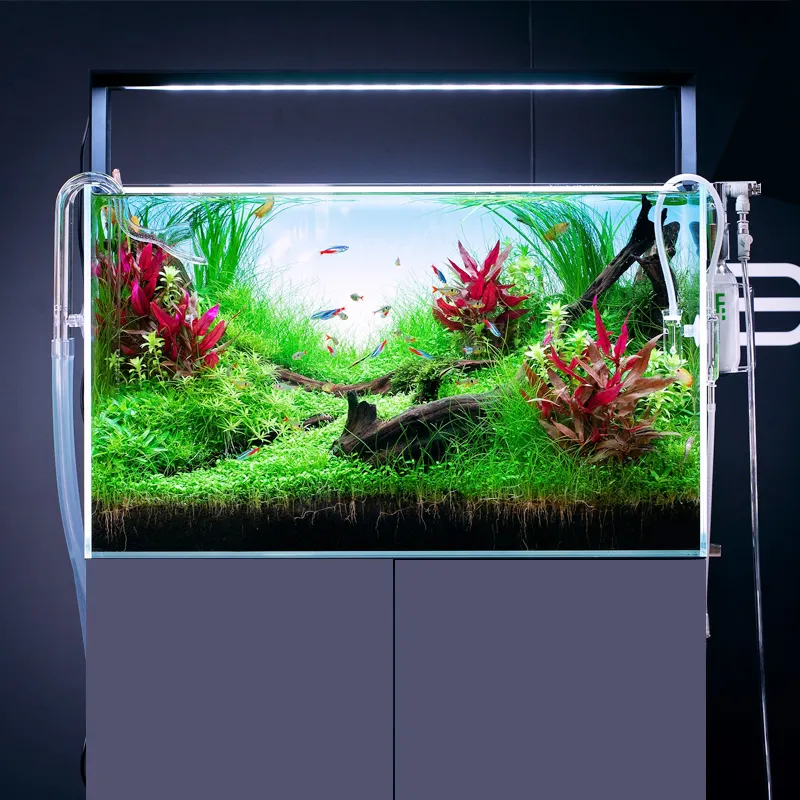 NIHAO WRGB Spectrum Aquarium Light staffe estensibili luce per acquario piantata dimmerabile per acquario d'acqua dolce