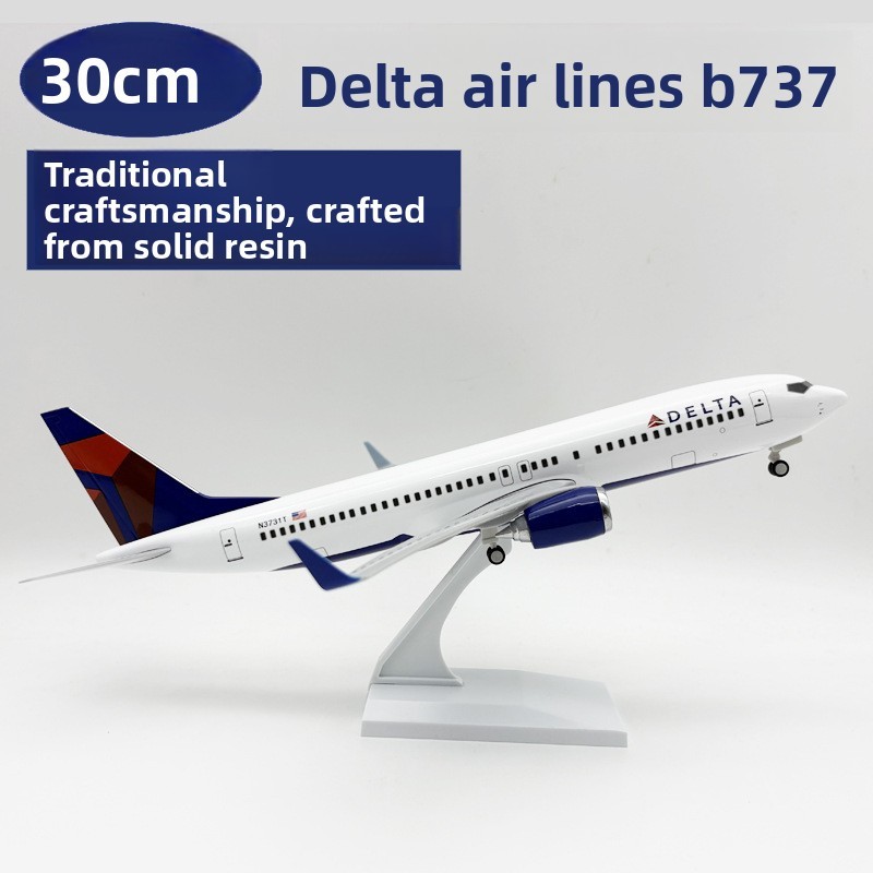 Dinde 30cm b737