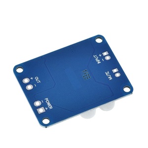 32pin Chip originale TPA3118 DC 12V-24V 60W Mono Audio digitale amplificatore scheda amplificatore - Product Image 4