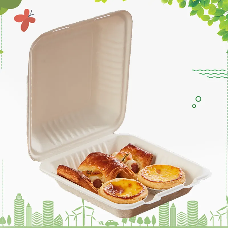 Environmental Products Tableware Biodegradable Bagasse Food Container Disposable Food Packaging