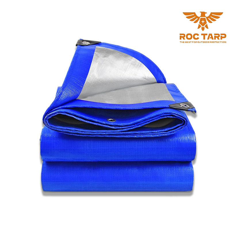 Blue/Silver