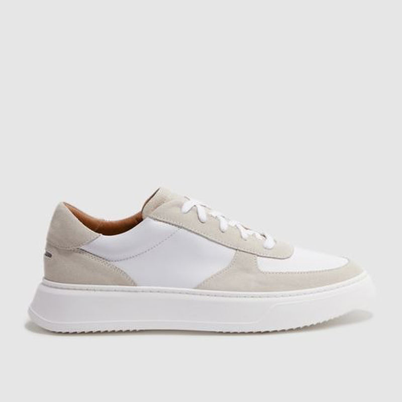 Color scheme Color 1