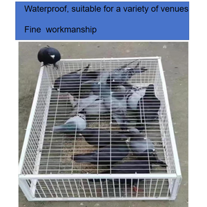 Cheap Foldable Bird Trap Cage <strong>Feral</strong> Pigeon Trap <strong>Humane</strong> Method With One-way Entrance 2/4 Doors Trapping Pigeons - Product Image 5