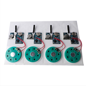 Модуль записи голоса для рукоделия - Product Image 1