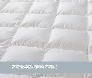 Bộ Lông Vũ Và Chăn Lông Vũ Cỡ King Bộ Chăn Lông Vũ Cỡ Nhỏ - Product Image 4