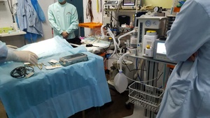 Máquina de anestesia veterinaria médica para mascotas con mango portátil Sistema DE SEGURIDAD DE fácil operación uso animal con CE - Product Image 6
