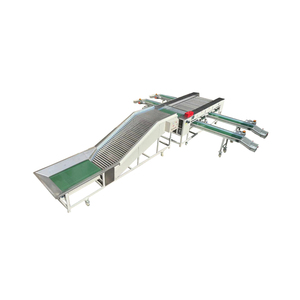 Línea automática de clasificación de tamaño de patata, máquina clasificadora de patatas dulces y cebollas - Product Image 3