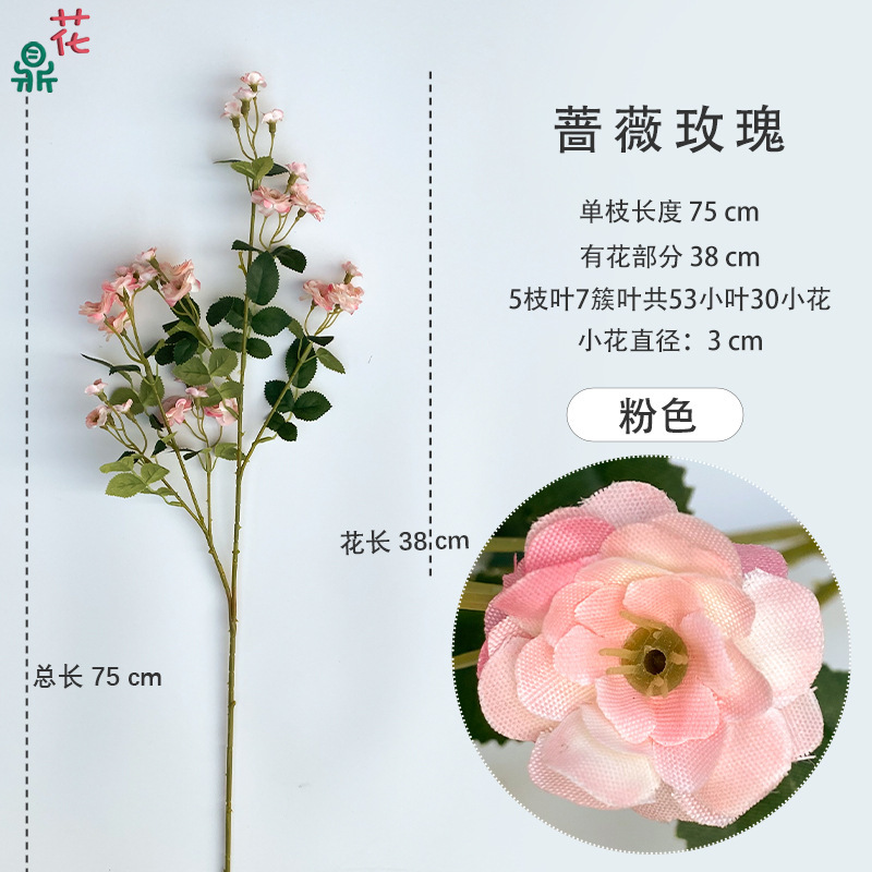 Rose pink