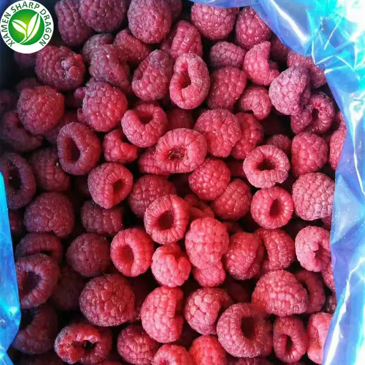Frozen IQF Bulk Organic Raspberries Best Delish Fresh Black Red Seedless Raspberry Sweetened Freezing Fruits Wholesale Prices