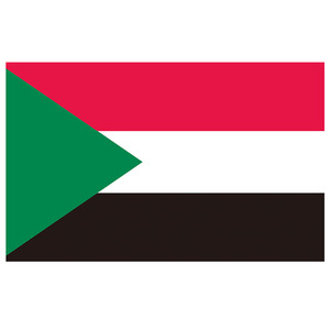 Индивидуальные, 90x150 см, 100% полиэстер, Турецкий флаг, баннер для различных стран, континентов, спортивный фестиваль, флаги со скидкой - Product Image 4