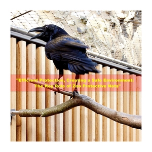 Direktverkauf ab Werk Modernes Bissfestes Edelstahl-Seilgeflecht Fensterschutz für Kleine Häuser Einfach zu Montieren - Product Image 4