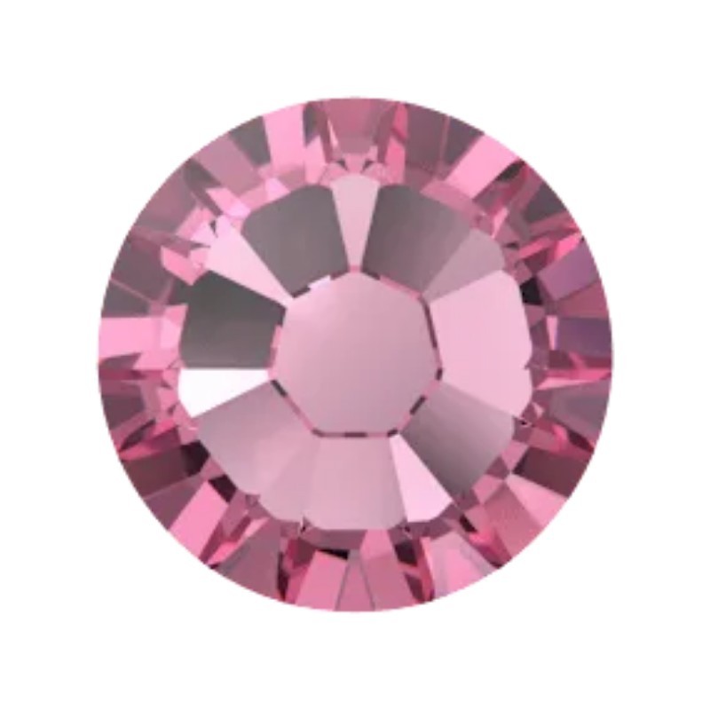 Rosa F (209)