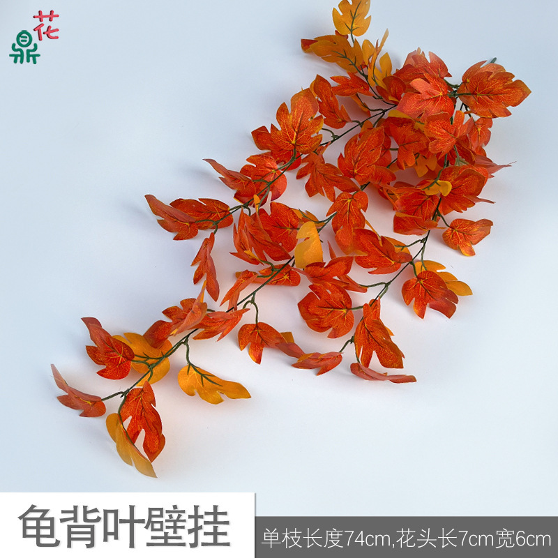Monstera deliciosa tenture murale BLS orange-rouge