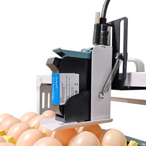 Hoch auflösendes, schnell trocknendes, variables Datum Produktions datum Chargen nummer Logo Egg Coding Stamp ing Machine - Product Image 5