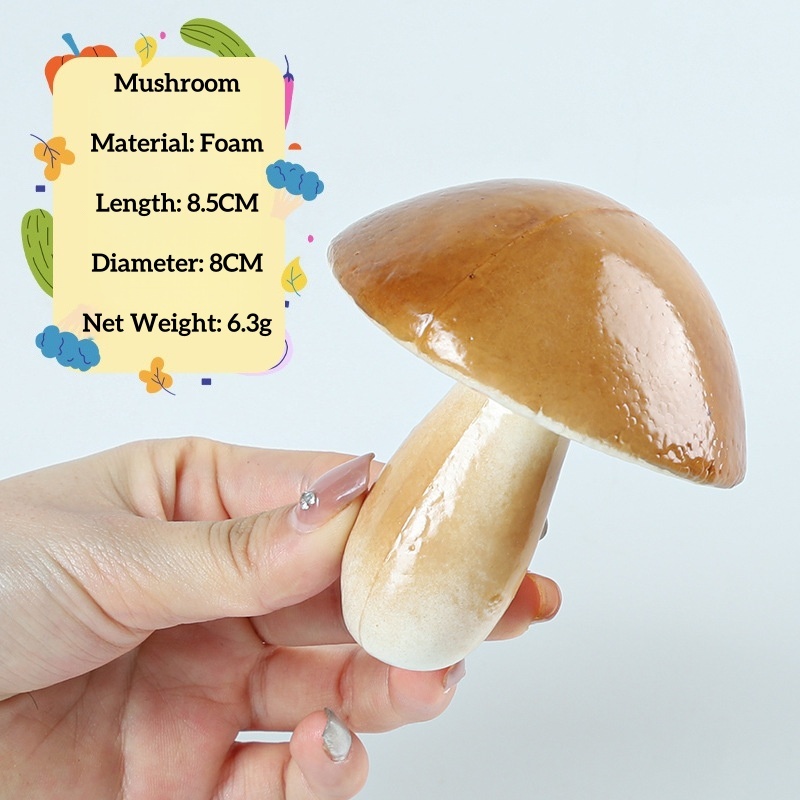 Champignons brun-blanc