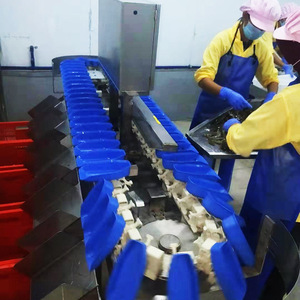 Precision <strong>Sorting</strong> <strong>and</strong> Efficient Packaging Automation for Fruits <strong>and</strong> Vegetables-Automatic Weighing <strong>and</strong> <strong>Sorting</strong> <strong>Machine</strong> - Product Image 4