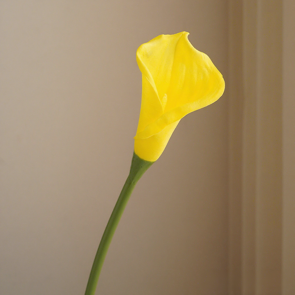 Amarillo